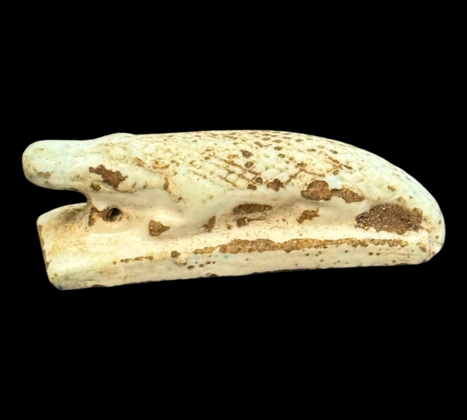 Sobek Niloticus – Sobek, bůh vody a ochrany