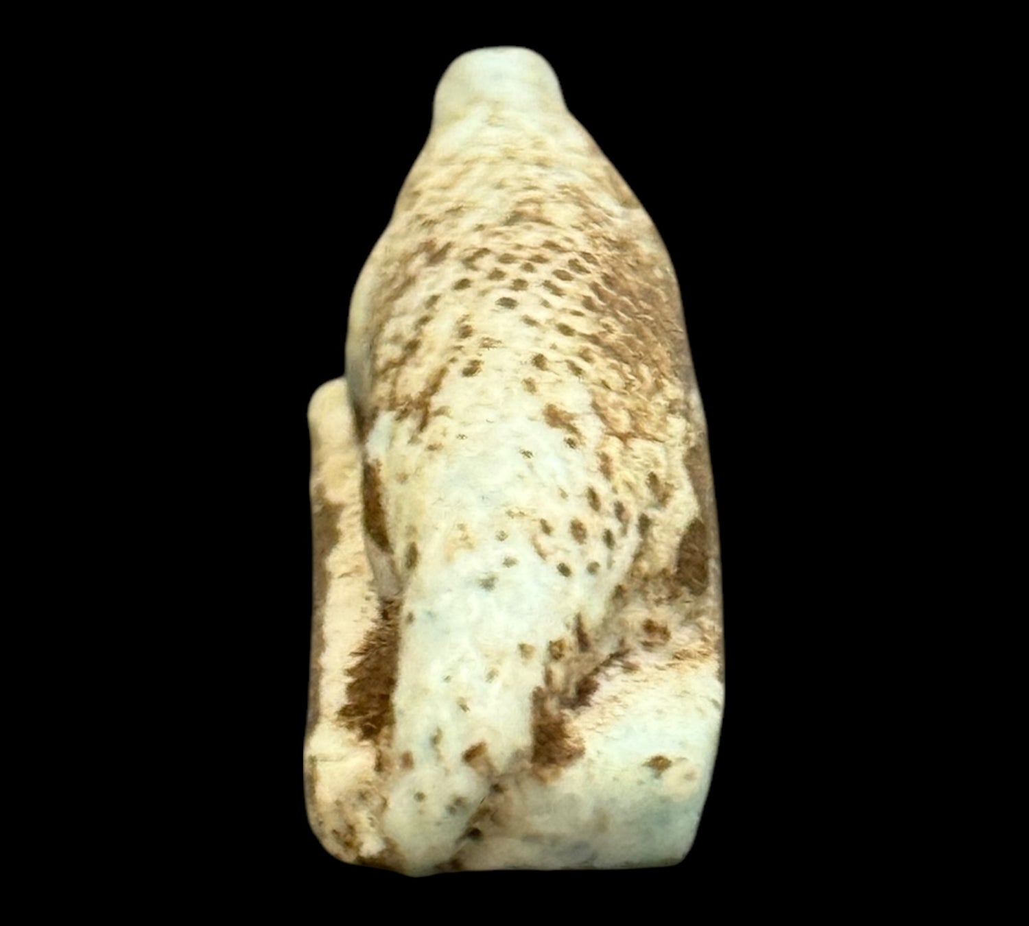 Sobek Niloticus – Sobek, bůh vody a ochrany