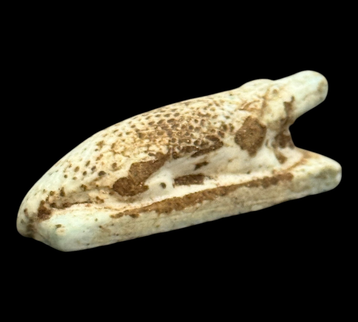 Sobek Niloticus – Sobek, bůh vody a ochrany