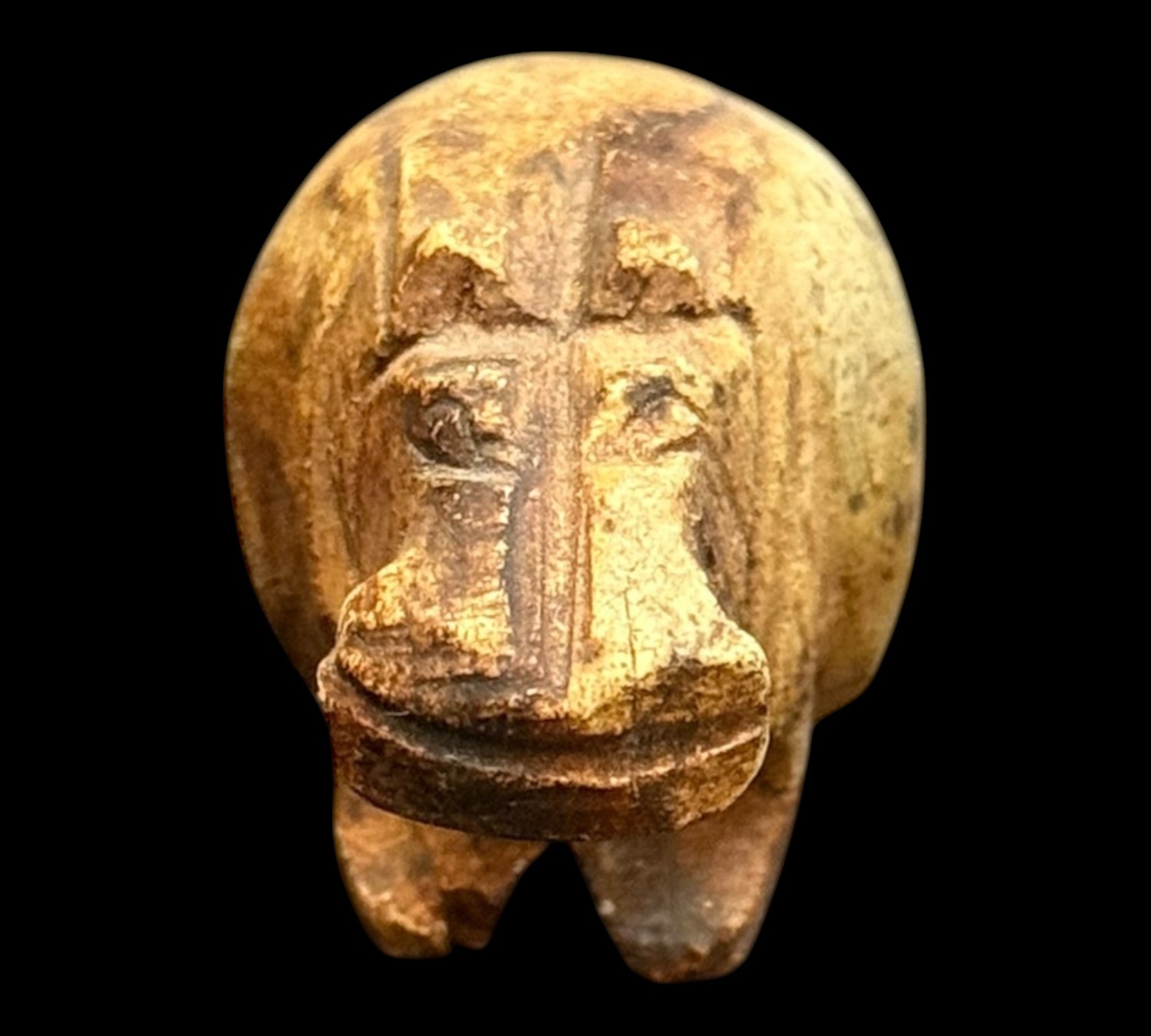 Posvátný Amulet Hrocha – Strážcea Ochrany