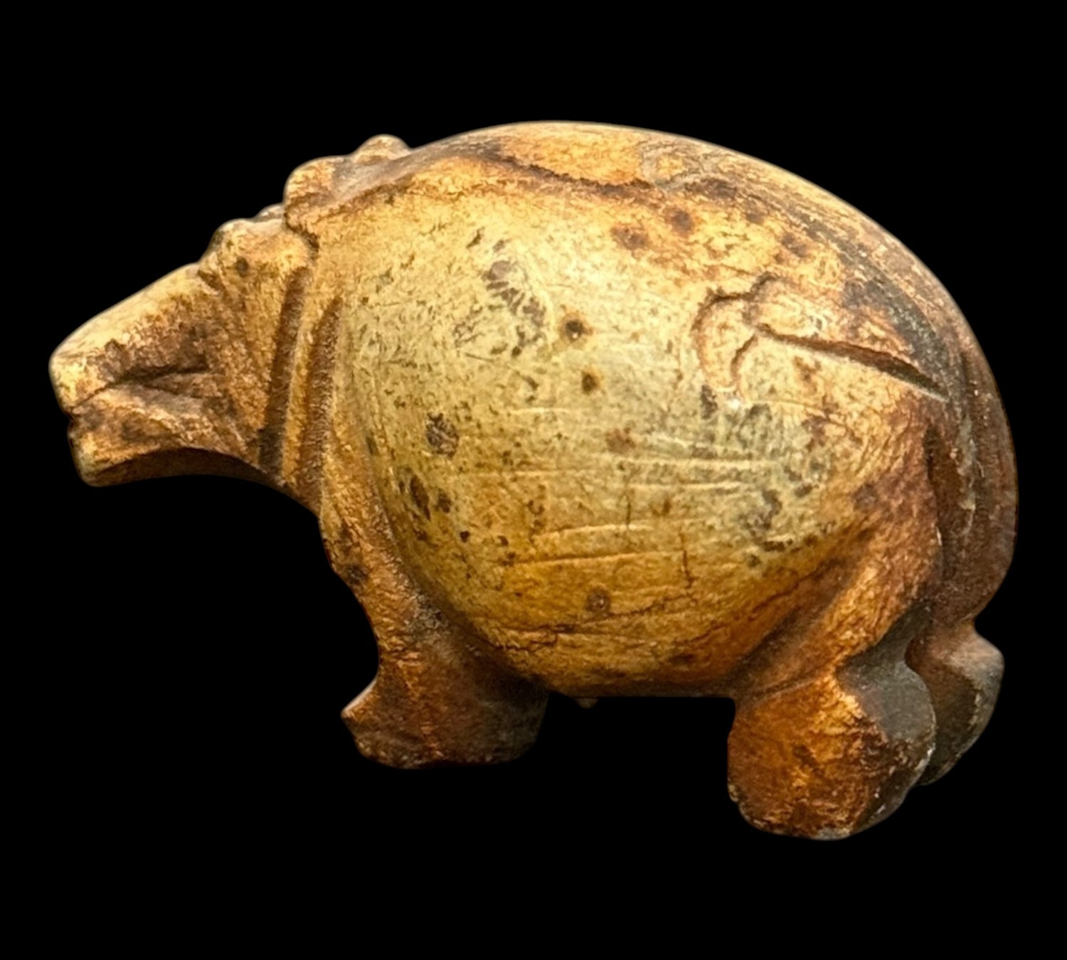 Posvátný Amulet Hrocha – Strážcea Ochrany