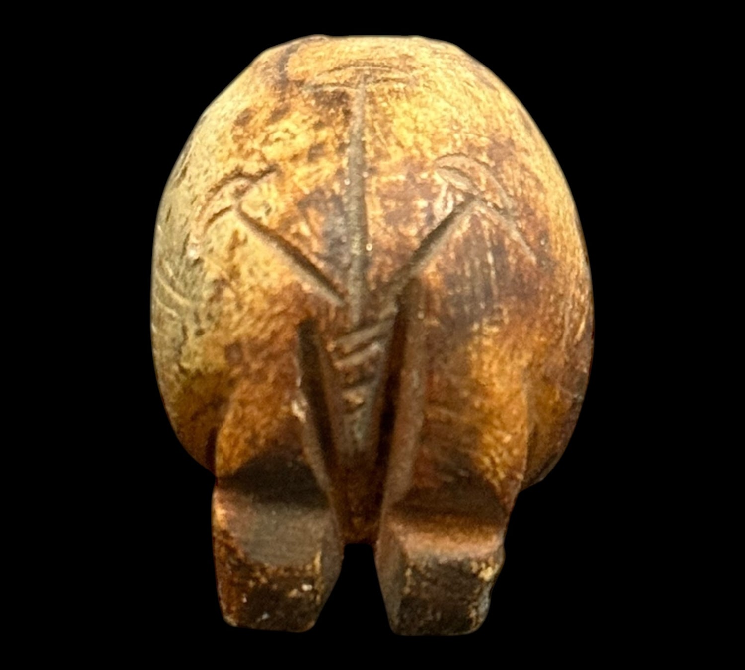 Posvátný Amulet Hrocha – Strážcea Ochrany