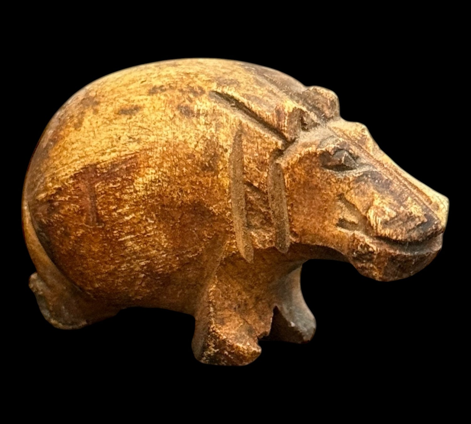 Posvátný Amulet Hrocha – Strážcea Ochrany