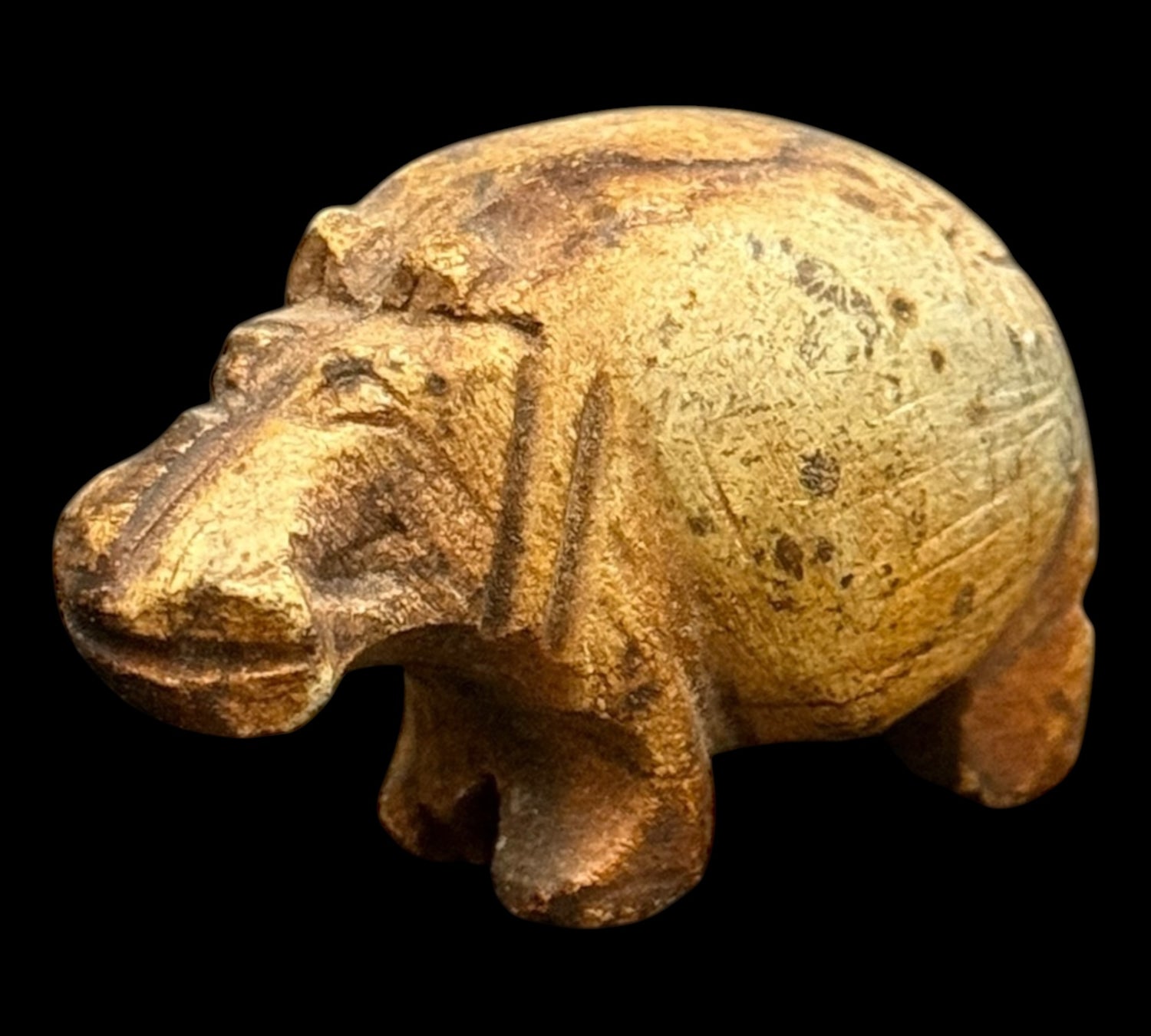 Posvátný Amulet Hrocha – Strážcea Ochrany